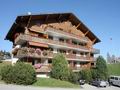 Двухкомнатная квартира, площадью 49 кв.м., с видом на Альпы, на горнолыжном курорте Шато Дэ. Швейцария